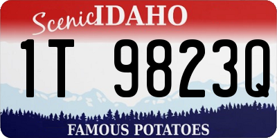 ID license plate 1T9823Q