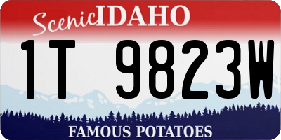 ID license plate 1T9823W