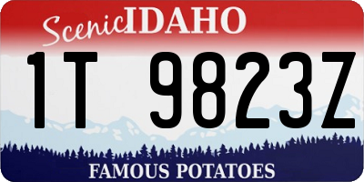 ID license plate 1T9823Z