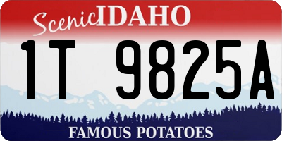 ID license plate 1T9825A
