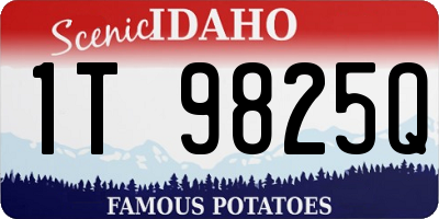 ID license plate 1T9825Q