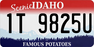ID license plate 1T9825U