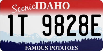 ID license plate 1T9828E