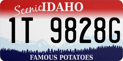 ID license plate 1T9828G