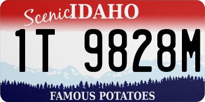 ID license plate 1T9828M