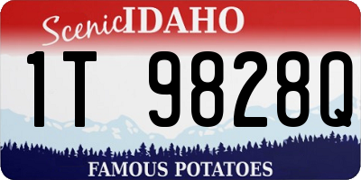 ID license plate 1T9828Q
