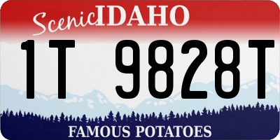 ID license plate 1T9828T