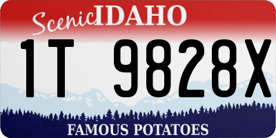 ID license plate 1T9828X