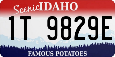 ID license plate 1T9829E