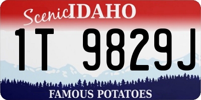 ID license plate 1T9829J