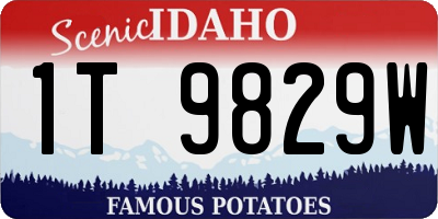 ID license plate 1T9829W
