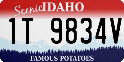 ID license plate 1T9834V