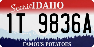 ID license plate 1T9836A