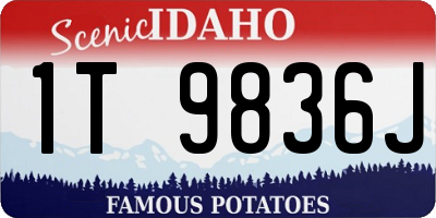 ID license plate 1T9836J