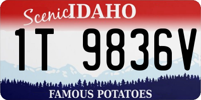 ID license plate 1T9836V