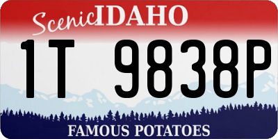 ID license plate 1T9838P