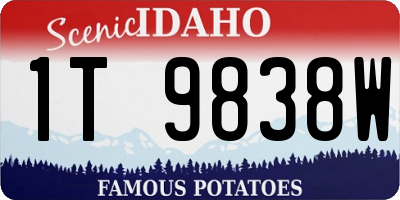 ID license plate 1T9838W
