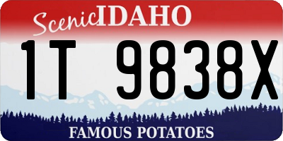 ID license plate 1T9838X