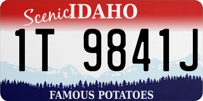 ID license plate 1T9841J