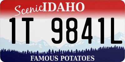 ID license plate 1T9841L
