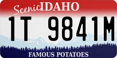 ID license plate 1T9841M