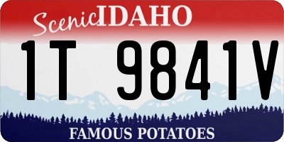 ID license plate 1T9841V