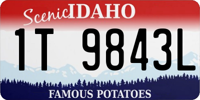 ID license plate 1T9843L