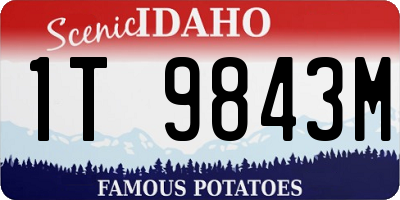 ID license plate 1T9843M