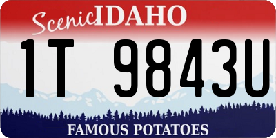 ID license plate 1T9843U