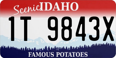 ID license plate 1T9843X