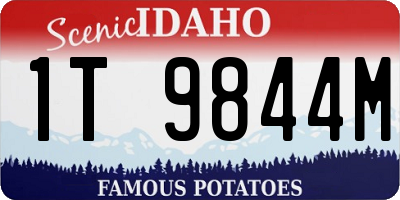 ID license plate 1T9844M