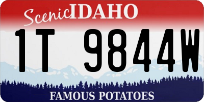ID license plate 1T9844W