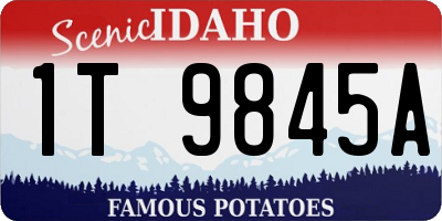ID license plate 1T9845A