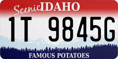 ID license plate 1T9845G