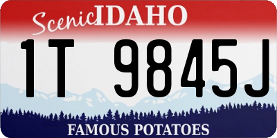 ID license plate 1T9845J