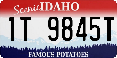 ID license plate 1T9845T
