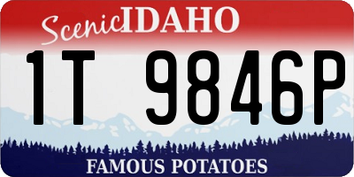 ID license plate 1T9846P
