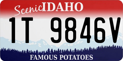 ID license plate 1T9846V