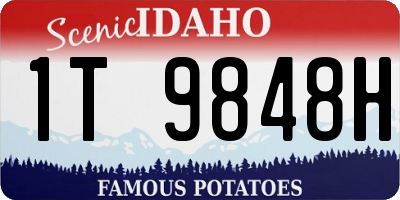 ID license plate 1T9848H