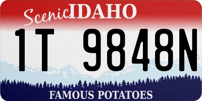 ID license plate 1T9848N