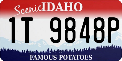 ID license plate 1T9848P