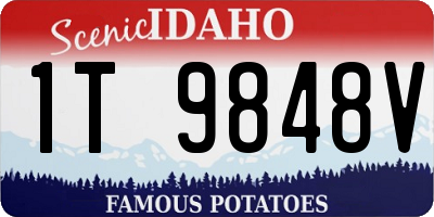ID license plate 1T9848V