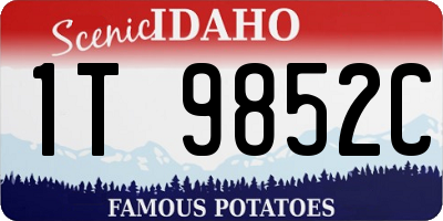 ID license plate 1T9852C