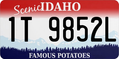 ID license plate 1T9852L