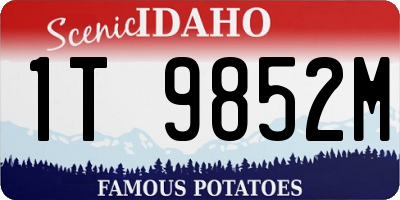 ID license plate 1T9852M