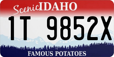 ID license plate 1T9852X