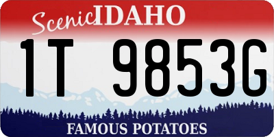 ID license plate 1T9853G