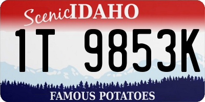 ID license plate 1T9853K