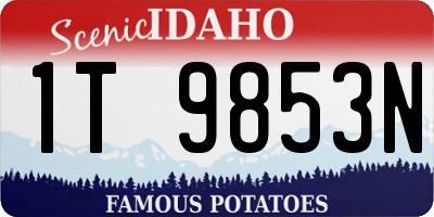 ID license plate 1T9853N