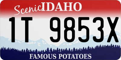 ID license plate 1T9853X